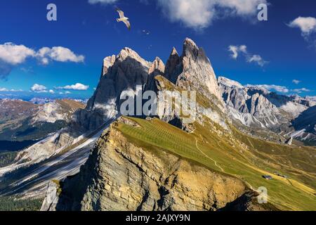 Vue sur Seceda avec des oiseaux volant au-dessus des sommets. Trentin Haut Adige Dolomites, Alpes, Tyrol du Sud, Italie. Val Gardena. Pic majestueux Furchetta. Odles Banque D'Images