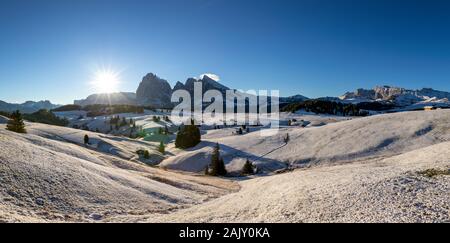 Alpe di Siusi ou Siusi avec Sassolungo Langkofel, Groupe de montagne en arrière-plan. Alpe di Siusi ou Alpe di Siusi, Sassolungo et Sassopiatto montagne Banque D'Images