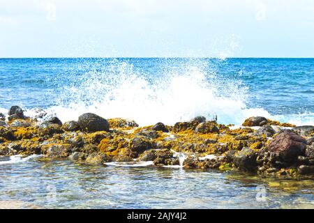 Éclaboussures d'ondes sur la barrière de roche couverte de mauvaises herbes de mer à l'eau de mer Banque D'Images