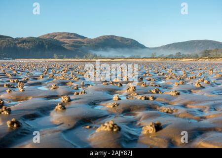 Des centaines de moulages de vers de l'lugworm (Arenicola marina) sur la plage de Carradale Bay pour faire un magnifique paysage avec la vallée derrière, Misty Banque D'Images