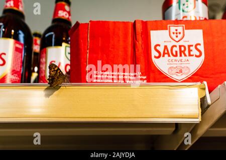 Butterfly assis sur un plateau de bière dans une épicerie. Banque D'Images