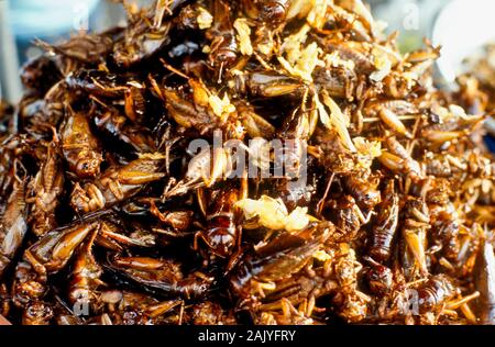 Les insectes frits sont delicassies pour personnes à Pnom Penh Banque D'Images