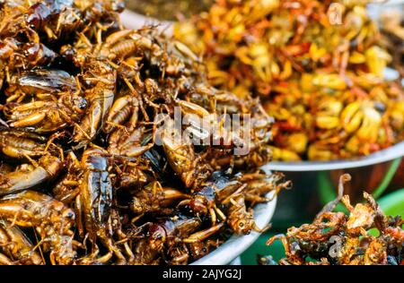 Les insectes frits sont delicassies pour personnes à Pnom Penh Banque D'Images