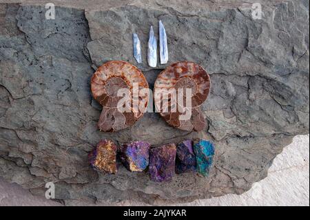 Coquillages en spirale à l'ammonite fossile avec Cyanite et roche de Peacock. Banque D'Images