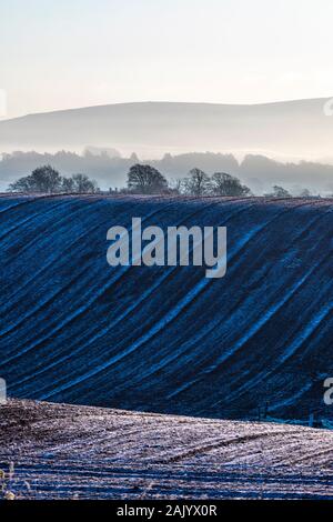 Un champ labouré sur une frosty matin à Irthington, Cumbria UK Banque D'Images