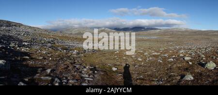 Dovrefjell paysage près de Snohetta - Norvège Banque D'Images