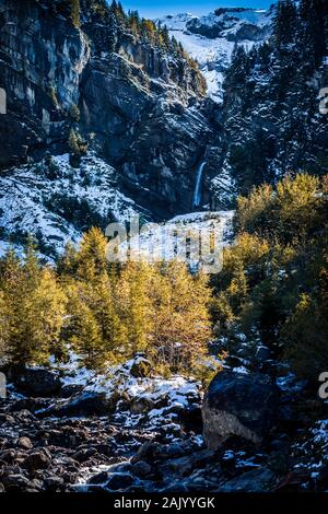 Forêt colorée en vert et jaune en face d'une impressionnante chaîne de montagnes couvertes de neige dans les Alpes suisses Banque D'Images