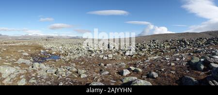 Dovrefjell paysage près de Snohetta - Norvège Banque D'Images