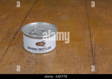 Tin des insectes comestibles / nouveauté - alimentaire les dytiques / Dytiscus espèces. Concept d'insectes comme nourriture humaine, l'entomophagie, manger bugs insectes. Banque D'Images