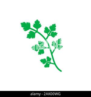 Le persil plante verte icône. Tige de persil isolé sur fond blanc. Persil frais vert feuille. Bouquet de feuilles vertes pour aromatiser plats. Vector Illustration de Vecteur