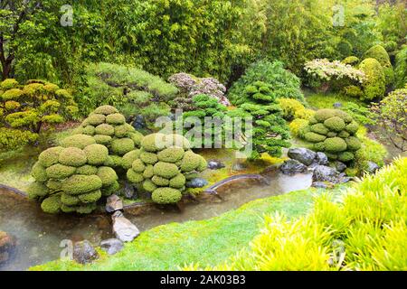 Jardin de thé japonais au Golden Gate Park, San Francisco, California, USA Banque D'Images