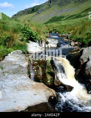 Près de la rivière Irfon Abergwesyn, Llanwrtyd Wells, Powys, Mid Wales. Banque D'Images