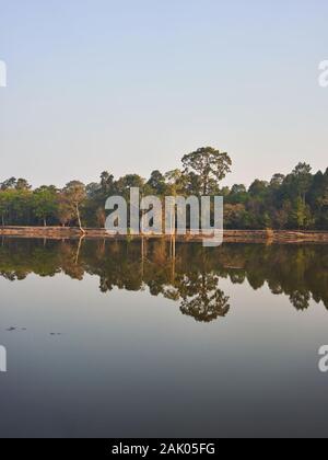 Un matin tôt paysage près du fossé à Angkor Wat, au Cambodge Banque D'Images