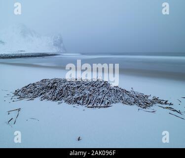 Faible neige couvre les tas de sable et d'algues à Unstad Vestvågøy, plage, îles Lofoten, Norvège Banque D'Images