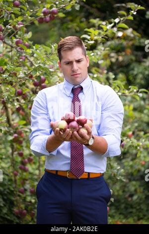 L'homme debout à l'extérieur est confus comme il regarde une poignée de pommes. Banque D'Images