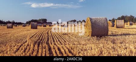 Balles de paille sur un champ de chaume, une ferme à l'arrière-plan, ciel bleu, paysage en lumière du soleil dorée Banque D'Images