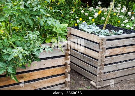 Un lit surélevé en bois poussant des plantes Banque D'Images