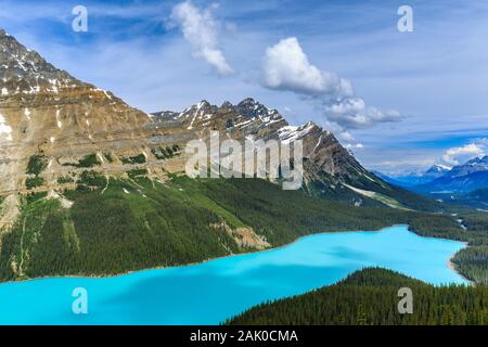 Le lac Peyto, Banff National Park, Alberta, Canada. Banque D'Images