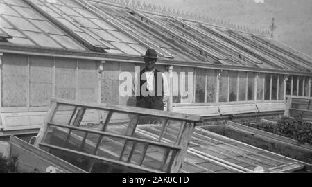 Années 1930, historiques, homme jardinier dans un chapeau d'une grande serre victorienne construite en bois, verre, England, UK. Banque D'Images