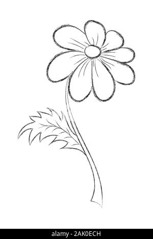 Croquis au crayon vecteur d'une fleur avec des notes autocollantes. Télévision Doodle style. Isolé sur fond blanc pour Coloring Book, mariage conception de logo ou postcar Illustration de Vecteur