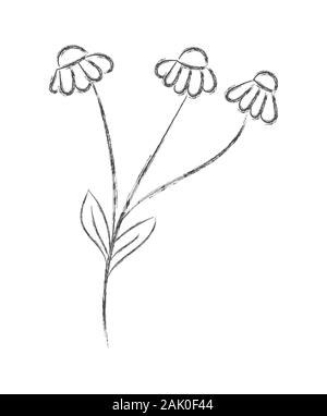 Croquis au crayon vecteur d'une fleur avec des notes autocollantes. Télévision Doodle style. Isolé sur fond blanc pour Coloring Book, mariage conception de logo ou postcar Illustration de Vecteur