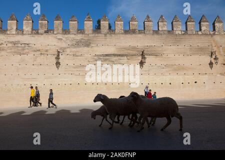 Piétons et troupeau de moutons dans paysage de pisé crénelée murs de ville dans la zone de Bab Mechouar et Bab Dekkakin à Fes (fez), Maroc Banque D'Images