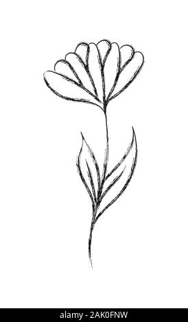 Croquis au crayon vecteur d'une fleur avec des notes autocollantes. Télévision Doodle style. Isolé sur fond blanc pour Coloring Book, mariage conception de logo ou postcar Illustration de Vecteur