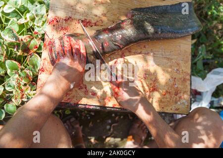 Méconnaissable pêcheur avec nettoyage des couteaux sur planche de bois du poisson d'eau douce Piscine en plein air. La préparation des aliments crus. Banque D'Images