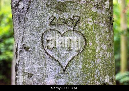 coeur avec des monogrammes sculptés dans l'écorce d'un tronc d'arbre Banque D'Images