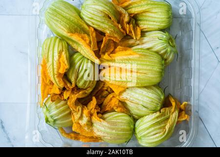 Squash Blossoms Fleurs de courgettes dans la plaque / Fleurs de courgettes comestibles dans un coffret plastique Package / Conteneur. L'alimentation biologique. Banque D'Images