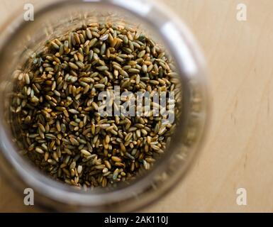 Un bocal rempli de grains de seigle entier prêt pour le maltage sur une table en bois. Banque D'Images