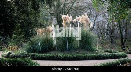 Des images de l'Hortus Botanicus d'Amsterdam. Banque D'Images