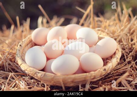 Œufs biologiques dans le panier en osier (sur paille), soleil extérieur Banque D'Images