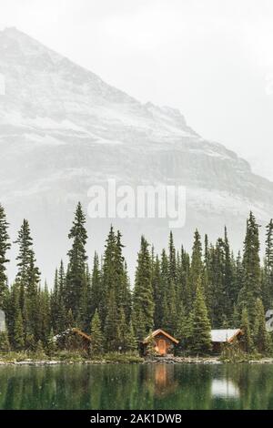 Cabines du lac O'Hara Lodge en septembre dans le parc national Yoho, Colombie-Britannique, Canada [pas de biens ; disponible pour les licences éditoriales uniquement] Banque D'Images