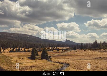 La Forêt de Bohême (Šumava). Vue depuis la vallée de Breznik Lusen. Paysage avec la vallée d'herbe, arbres et montagne à l'horizon, ciel nuageux. Banque D'Images