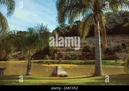 Passerelle en bois allant à une petite île dans l'étang d'un jardin avec des palmiers près de Bento Gonçalves. Un pays producteur de vin dans la ville du sud du Brésil. Banque D'Images