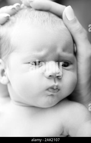 Nouveau-né mignon grave couché sur les mains de la mère à la caméra de côté fourrure closeup portrait Banque D'Images