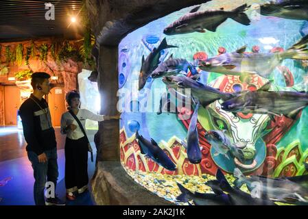 Yunnan, Yunnan, Chine. Jan 7, 2020. Yunnan, Chine-Le 6 janvier 2020, le premier aquarium de poissons d'eau douce le long de la rivière du Mékong a ouvert ses portes à Xishuangbanna, province du Yunnan. Crédit : SIPA Asie/ZUMA/Alamy Fil Live News Banque D'Images