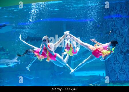 Yunnan, Yunnan, Chine. Jan 7, 2020. Yunnan, Chine-Le 6 janvier 2020, le premier aquarium de poissons d'eau douce le long de la rivière du Mékong a ouvert ses portes à Xishuangbanna, province du Yunnan. Crédit : SIPA Asie/ZUMA/Alamy Fil Live News Banque D'Images