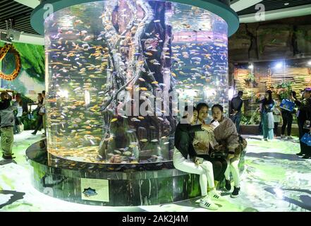Yunnan, Yunnan, Chine. Jan 7, 2020. Yunnan, Chine-Le 6 janvier 2020, le premier aquarium de poissons d'eau douce le long de la rivière du Mékong a ouvert ses portes à Xishuangbanna, province du Yunnan. Crédit : SIPA Asie/ZUMA/Alamy Fil Live News Banque D'Images