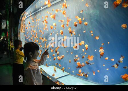 Yunnan, Yunnan, Chine. Jan 7, 2020. Yunnan, Chine-Le 6 janvier 2020, le premier aquarium de poissons d'eau douce le long de la rivière du Mékong a ouvert ses portes à Xishuangbanna, province du Yunnan. Crédit : SIPA Asie/ZUMA/Alamy Fil Live News Banque D'Images