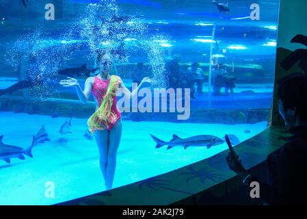 Yunnan, Yunnan, Chine. Jan 7, 2020. Yunnan, Chine-Le 6 janvier 2020, le premier aquarium de poissons d'eau douce le long de la rivière du Mékong a ouvert ses portes à Xishuangbanna, province du Yunnan. Crédit : SIPA Asie/ZUMA/Alamy Fil Live News Banque D'Images