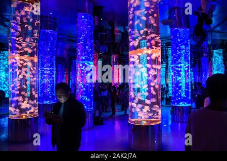 Yunnan, Yunnan, Chine. Jan 7, 2020. Yunnan, Chine-Le 6 janvier 2020, le premier aquarium de poissons d'eau douce le long de la rivière du Mékong a ouvert ses portes à Xishuangbanna, province du Yunnan. Crédit : SIPA Asie/ZUMA/Alamy Fil Live News Banque D'Images