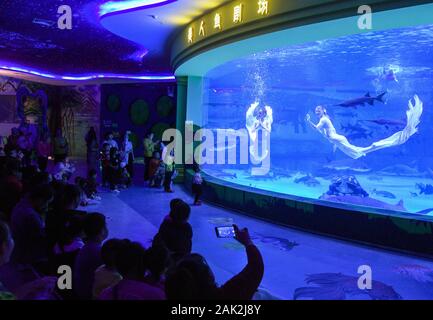 Yunnan, Yunnan, Chine. Jan 7, 2020. Yunnan, Chine-Le 6 janvier 2020, le premier aquarium de poissons d'eau douce le long de la rivière du Mékong a ouvert ses portes à Xishuangbanna, province du Yunnan. Crédit : SIPA Asie/ZUMA/Alamy Fil Live News Banque D'Images