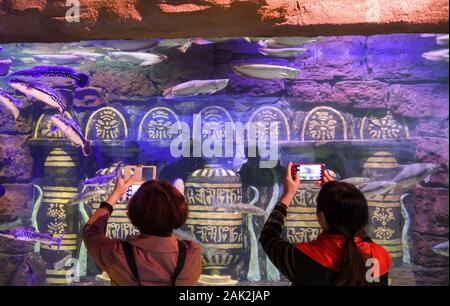 Yunnan, Yunnan, Chine. Jan 7, 2020. Yunnan, Chine-Le 6 janvier 2020, le premier aquarium de poissons d'eau douce le long de la rivière du Mékong a ouvert ses portes à Xishuangbanna, province du Yunnan. Crédit : SIPA Asie/ZUMA/Alamy Fil Live News Banque D'Images