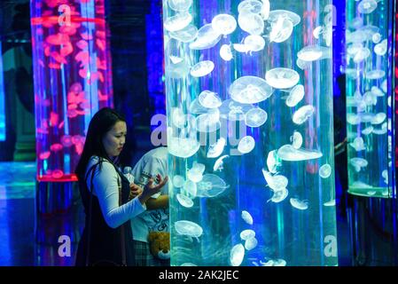 Yunnan, Yunnan, Chine. Jan 7, 2020. Yunnan, Chine-Le 6 janvier 2020, le premier aquarium de poissons d'eau douce le long de la rivière du Mékong a ouvert ses portes à Xishuangbanna, province du Yunnan. Crédit : SIPA Asie/ZUMA/Alamy Fil Live News Banque D'Images