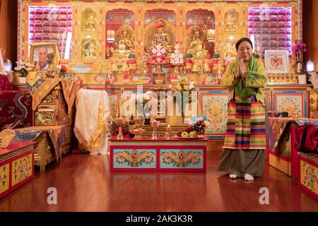 Une femme bouddhiste dévot en priant et en méditant sur l'autel dans un temple dans le Queens, New York. Banque D'Images