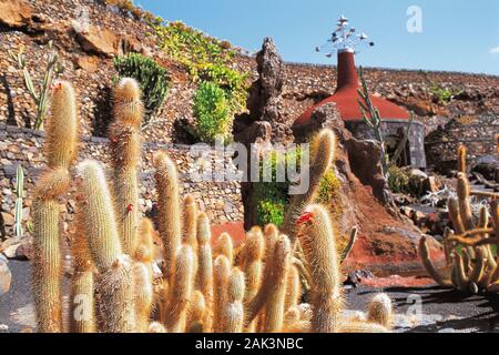 À la périphérie de San Juan sur l'île espagnole Lanzarote est le jardin de cactus. Le cactus Park a été créé par l'artiste local Cesar Manr Banque D'Images