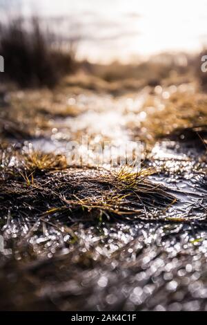 Close up of wet boueux avec le soleil qui se reflète sur l'eau au cours d'un lever de soleil dans la campagne anglaise Banque D'Images