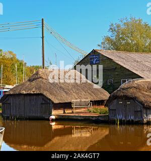 Serres de chaume sur Hickling Broads, sur les Norfolk Broads, Angleterre, Royaume-Uni Banque D'Images